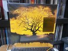 DAYS OF THE NEW s/t LP Vinyl NEW MOV