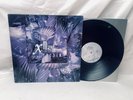 XMAL DEUTSCHLAND - Tocsin LP goth Deathrock X Mal 1st Press 4AD 1984 EXC
