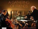 John Williams John Williams & Yo-Yo Ma: A Gathering of Friends (2-LP)