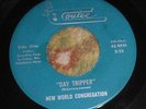 PRIVATE 1968 WI Garage 45 - The New World Congregation 