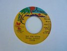 TIGER Rap Pon Rydim PARADISE Rare  Acid 303 Synth Digi Dancehall Reggae 7