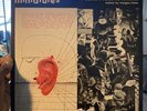 Morgan Fisher Miniatures Vinyl LP  Ivor Cutter Residents XTC Lp / Poster