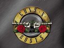 GUNS & ROSES - GREATEST HITS - PARADISE CITY SPLATTER COLOR WALMART EXCLUSIVE