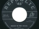 CHRISTINE KITTRELL - Snake In The Grass / Price You Pay - REPUBLIC- Gr8 R&B 45