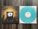 Boring Ecstasy The Bedroom Pop of Orchid Tapes Vinyl LP Alex G /300 RARE