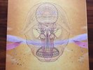 VINYL DEVENDRA BANHART What Will We Be WARNER 520962-1 GATEFOLD 180g 2 x LP FOLK