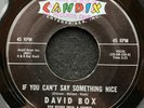 If You Can't Say Something Nice/I've Had My Moments by David Box (Candix 339) 7
