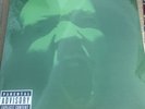 Limp Bizkit - Results May Vary 2 LP EU Reissue Green Colored Vinyl