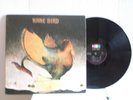 Rare Bird,ABC PROBE,