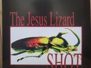 LP Shot - Jesus Lizard (#848064014256)