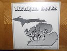 NEW SEALED SEEDS AND STEMS  LP RECORD/MICHIGAN ROCKS/1977 PRESS/MC 5/RYDER,DUKES