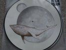 Gojira ‎– From Mars To Sirius Vinyl 2xLP - Picture Disc Limited