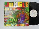 VA Jungle Hits Vol 1 STREET BEAT  Ragga Jungle DNB Reggae LP HEAR