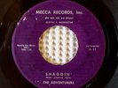 THE ADVENTURERS Shaggin' 2 O'Clock Express MECCA Private NW Garage Vinyl 45 Rare