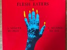 THE FLESH EATERS A MINUTE TO PRAY A SECOND TO DIE LP VG+/VG+ 1981 RUBY X 