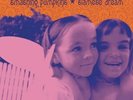 Smashing Pumpkins Siamese Dream 2 LP Vinyl Record Album New / Sealed