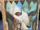 Paradise Lost - Shades of God, Original LP von 1992, Music for Nations Records
