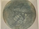 Brotzmann / Adasiewicz / Edwards / Noble - Mental Shake   Vinyl Record 12