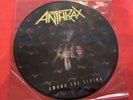 Anthrax Among the Living Rare Picture Disc, Used Excellent Condition.