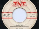 HEAR- Rare Rockabilly 45 - The Traits - Live It Up - TNT Records # TNT 175