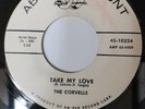 RARE VINYL PRESSING DOO WOP PROMO BY THE CORVELLS ON THE ABC LABEL# 10324