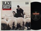Black Sheep 