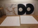 Joss Stone – Water For Your Soul 180 gram 2xLP Audiophile Vinyl Reggae, Funky