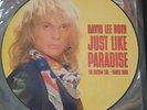 David Lee Roth 1988 Just Like Paradise Single Promo Picture Disc 12