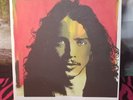 Chris Cornell complete box set(splatter press vinyl)