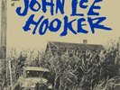 John Lee Hooker Country Blues