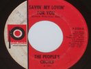 THE PEOPLE'S CHOICE Savin' My Lovin' For You PALMER Detroit Northern Soul James