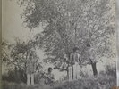 Small Faces - There Are But Four Small Faces - 1967 USA B&W label Immediate LP