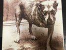 Alice In Chains Self Titled Three Legged Dog 2XLP Yellow Vinyl Play Once