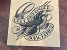 CITY AND COLOUR SOMETIMES RECORD STORE DAY RSD SCREEN PRINT # 408/500 NM OOP