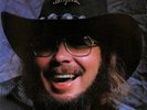 LP - Hank Williams, Jr.'s Greatest Hits - Elektra – E1-60193  US 1982