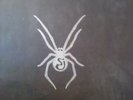 String cheese incident trick or treat vinyl box set