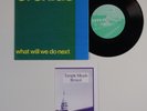 Sarah Records 23 ORCHIDS What Will We Do Next W/ POSTCARD indie 7