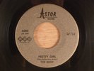 The Bugs  Pretty Girl/Slide  RARE  Garage Punk  1967 Astor Records