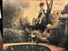The Apache Relay by The Apache Relay (Vinyl, May-2014, Nomadic Records)