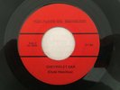Rare Killer Kentucky Bluegrass 45 FLOYD CO RAMBLERS Chevrolet Car  hear