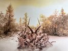 Soundgarden King Animal LP Vinyl Punk Rock Grunge Metal Alternative 2LP 