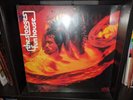 Iggy and the Stooges - FUNHOUSE - 180gm Vinyl LP Rhino Reissue - NEW & SEALED