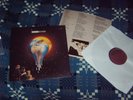 Robert Plant – The Fate Of Nations - RARE Original UK Vinyl LP 1993