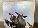 PINK FLOYD Atom Heart Mother FIRST PRESSING  VINYL