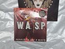 W.a.s.p. wasp animal uk orginal 7