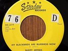 SLEEPY JEFFERS / THE DAVIS TWINS My Blackbirds Are Bluebirds Now STARDAY 45 RARE
