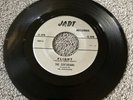 The Sentarians 45 Flight / Don’t Go JADT Records 1001 Grunge Garage Band RARE