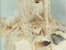 Vinyl Rock Pale Saints In Ribbons LP, Album 1992 Shoegaze (VG+ / VG+)