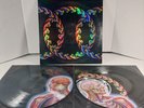 Tool - Lateralus (2X) 12