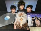 POSTER BLONDIE THE HUNTER CHRYSALIS WWS-91041 VINYL JAPAN LP OBI EX/EX